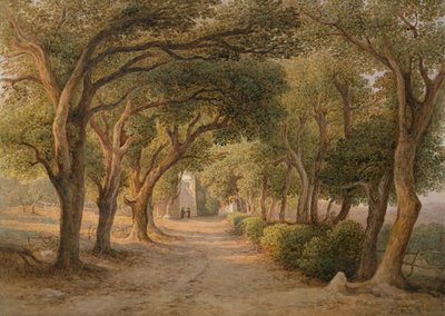 Castel Gandolfo von Rudolf Müller