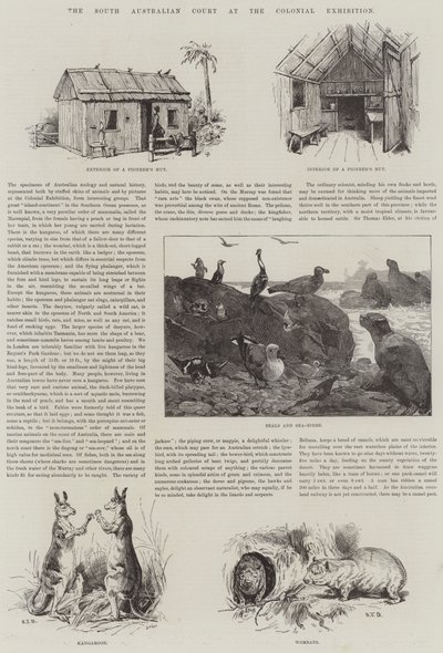Der südaustralische Hof auf der Kolonialausstellung von S.T. Dadd