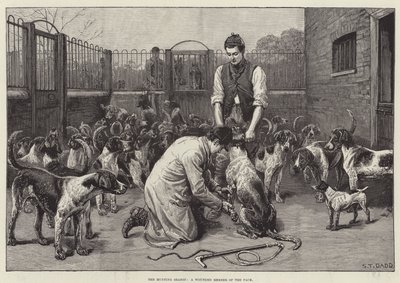 Die Jagdsaison, ein verwundetes Mitglied des Rudels (Gravur) von S. T. Dadd