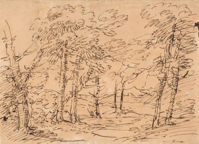 Landschaft mit Bäumen und Bergen im Hintergrund von Salvator Rosa