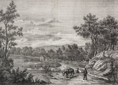 Mineralquellen im Wald von Acerra, Kampanien, Italien, Lithographie von Salvatore Puglia aus Poliorama Pittoresco, Nr. 5, 7. September von Salvatore Puglia