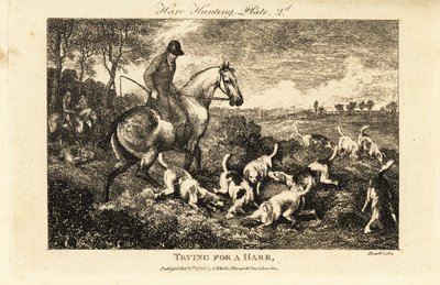 Berittener Jäger beobachtet ein Rudel Hunde, die nach Hasen graben von Samuel (after) Howitt