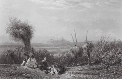 Australien: Grasbaumebenen von Samuel (after) Prout