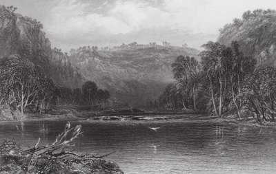 Australien: Am Cow Pasture River von Samuel (after) Prout