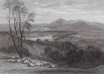 Australien: Der obere Goulburn, Victoria von Samuel (after) Prout