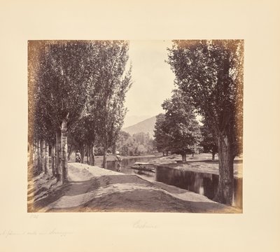 Ein angenehmer Spaziergang in der Nähe von Srinagar von Samuel Bourne
