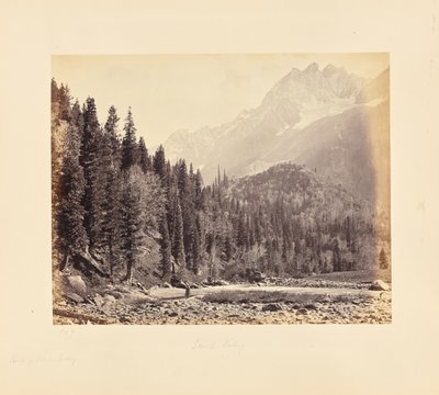  von Samuel Bourne
