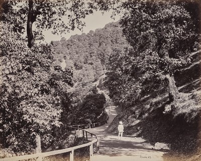 Shimla. Die Mall in der Nähe der Rabq Lodge von Samuel Bourne