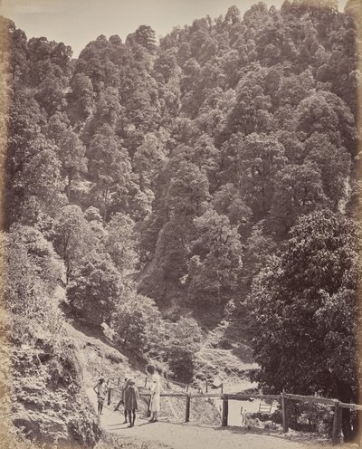 Shimla. Blick nach Norden auf den Mount Jakko von Samuel Bourne