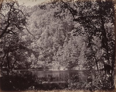 Die oberen Himalayas. Der Dodee Tal im See von Samuel Bourne