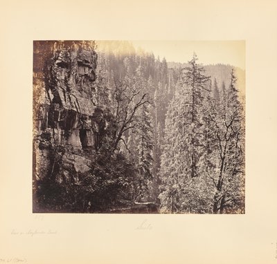  von Samuel Bourne