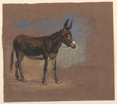 Zeichnung, Studie. Ein Maultier, 1872–75 von Samuel Colman