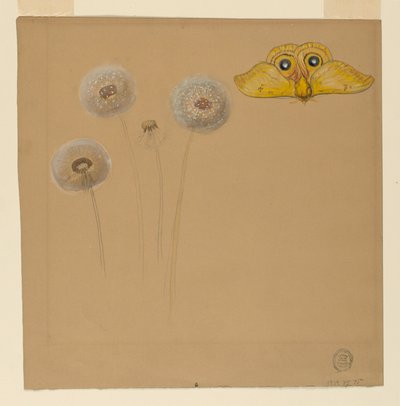 Studie von Weißer Gänseblümchen, Kamillenstängel mit zwei Blütenblättern und einem Kamillenblütenblatt, 1875–90 von Samuel Colman