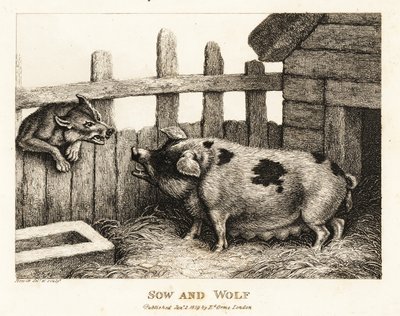 Eine große Sau im Schweinestall knurrt einen Wolf an. 1811 (Radierung) von Samuel Howitt