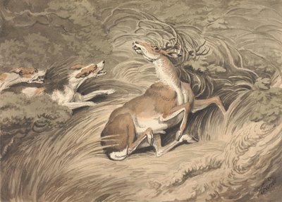 Zwei Hunde greifen einen Hirsch in der Enge an von Samuel Howitt