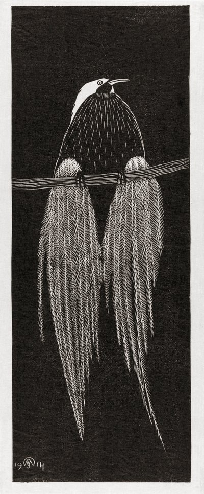 Paradiesvogel von Samuel Jessurun de Mesquita