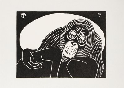 Orang-Utan von Samuel Jessurun de Mesquita