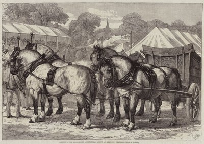Treffen der Lincolnshire Agricultural Society in Sleaford, Erstplatzierte Pferdeteam von Samuel John Carter