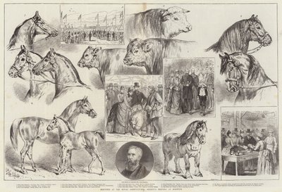 Skizzen bei der Versammlung der Royal Agricultural Society in Norwich von Samuel John Carter