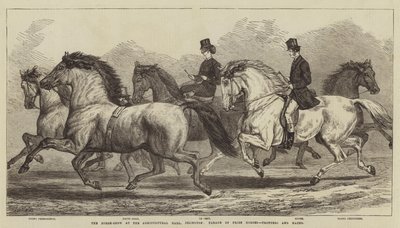 Die Pferdeschau in der Landwirtschaftshalle, Islington, Parade der Preispferde, Traber und Hacks von Samuel John Carter