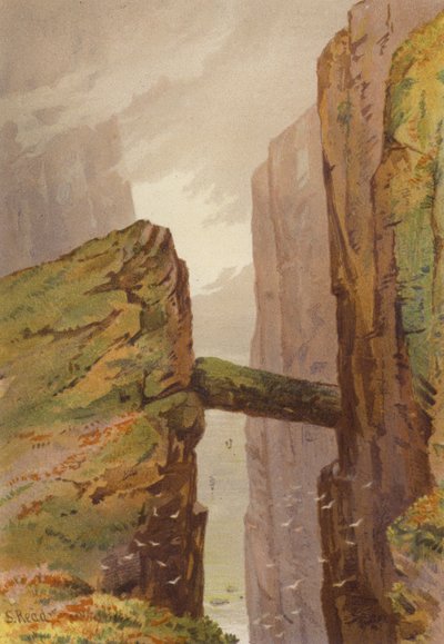 Nordirland, Der Pfad des Grauen Mannes, Fair Head, County Antrim von Samuel Read
