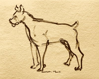 Boxerhund Skizze von Santhosh ch