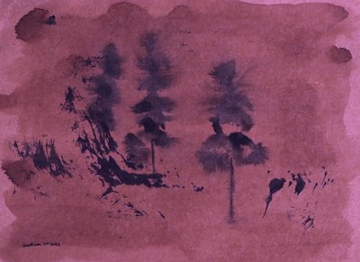Dunkle Waldlandschaft von Santhosh ch