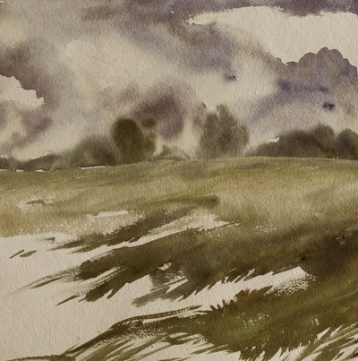 Stimmungsvolles Feld unter Sturmwolken von Santhosh ch