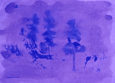 Violette Nebel-Kiefern von Santhosh ch