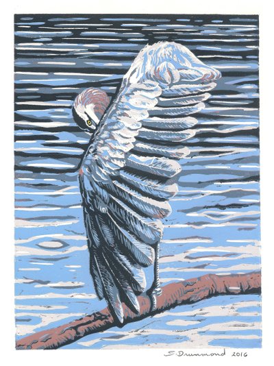 Reflexion, 2016 von Sarah Drummond