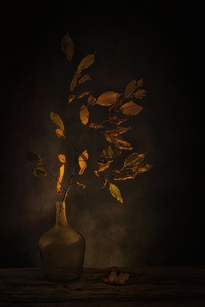 Stimmungsvolle Herbstblätter von Saskia Dingemans