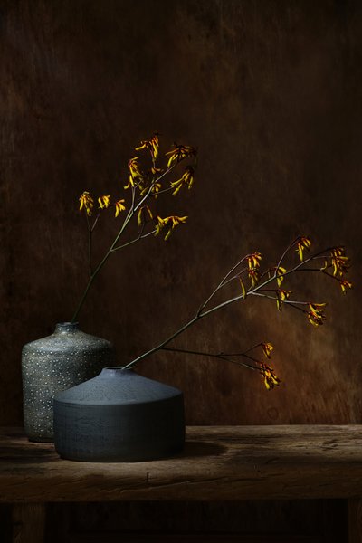 Stimmungsvolle botanische Vasen von Saskia Dingemans
