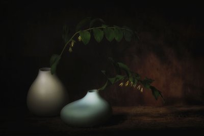 Gelassenes Botanisches Stillleben von Saskia Dingemans