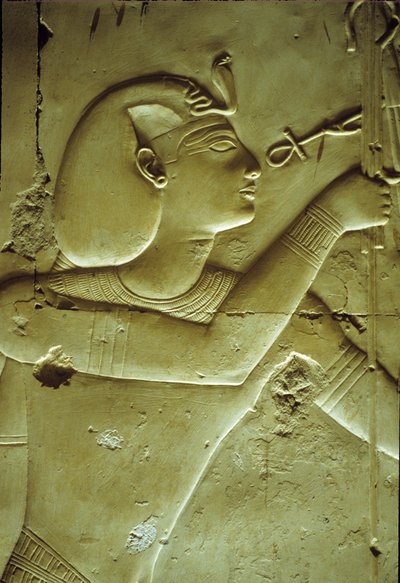 Altes Ägypten, Wandmalerei/-schnitzerei, Seti I empfängt Leben, symbolisiert durch das Ankh, Tempel von Seti I, Abydos von School Egyptian