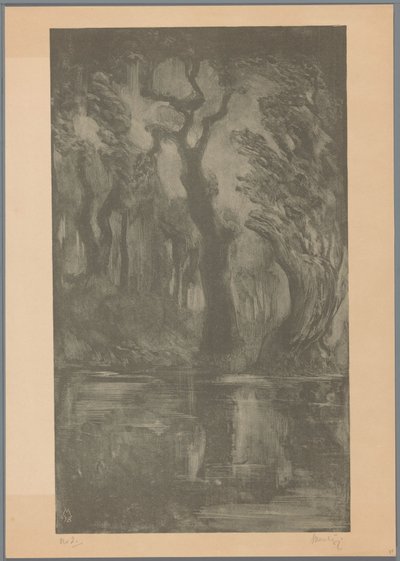 Wasser im Wald (Traumwald) von Simon Moulijn (signed by artist)