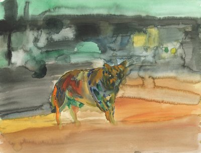 Stadtkojote, 2019 von Simon Neville