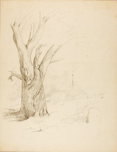 Ohne Titel von Solon H. Borglum