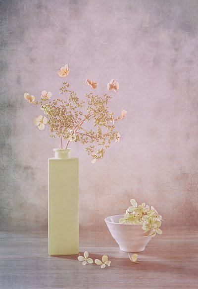 Zartes Pastell Stillleben von Sophie Pan