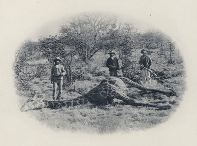 Großwildjagd im Transvaal von South African Photographer