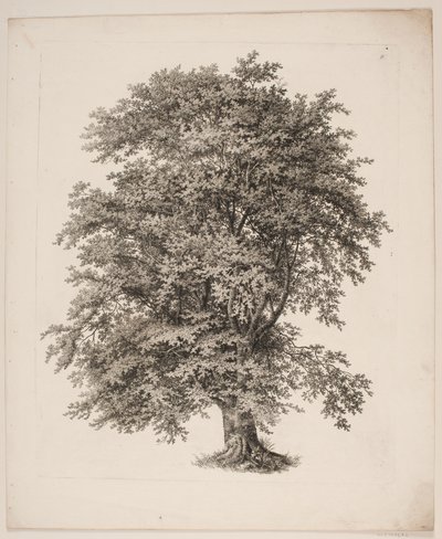 "Studien nach der Natur in Bezug auf Landschaftszeichnung von S.H. Petersen", Nr. 2 von Søren Henrik Petersen
