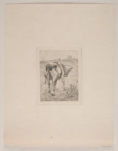Ein Kalb von Søren Lund