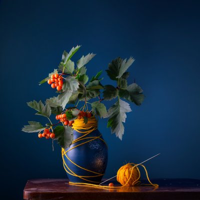 Weißdornbeeren und Garn von Stanislav Aristov