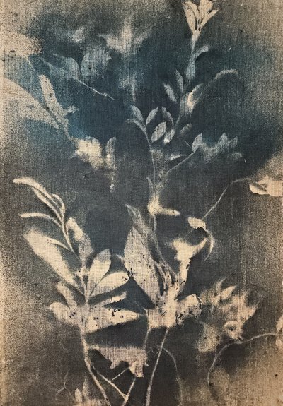 Ätherische Blaue Botanicals von Stefano Mazzolini
