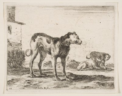 Platte 11: Hunde, aus Verschiedene Tiere, ca. 1641 von Stefano della Bella