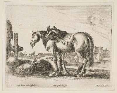 Tafel 22: Kaltblutpferd, aus Verschiedene Tiere Diversi animali, ca. 1641 von Stefano della Bella