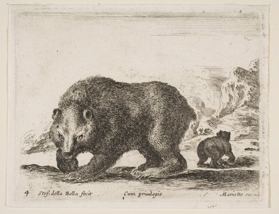 Tafel 4: Bär, aus 