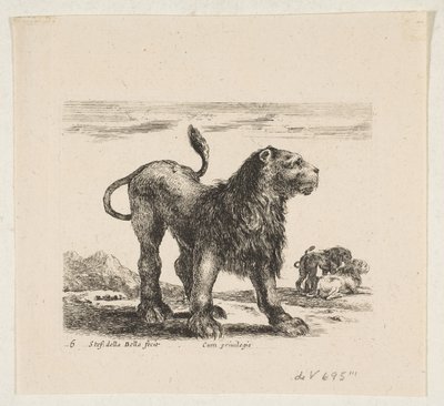 Tafel 6: Löwe, aus 