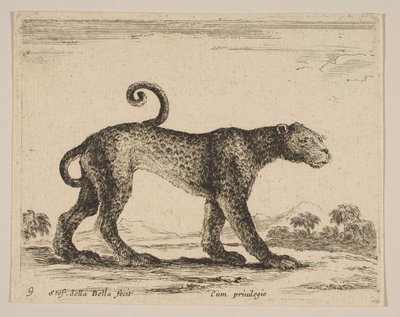 Platte 9: Leopard, aus Verschiedene Tiere Diversi animali, ca. 1641 von Stefano della Bella
