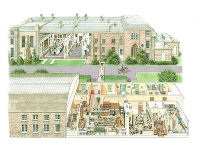 Petworth House, ca. 1890-1914 von Stephen Conlin