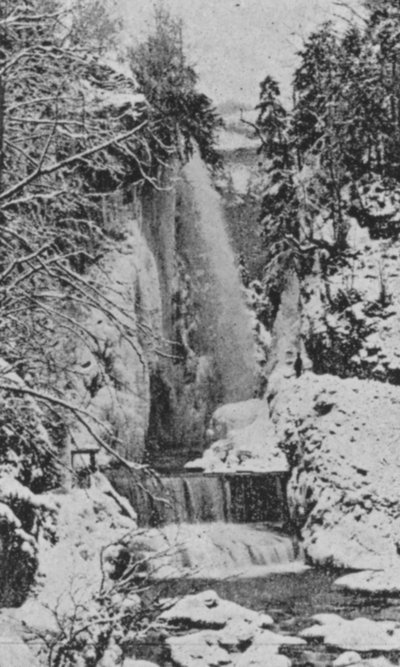 Die Schluchten von Taubenloch, bei Biel im Winter von Swiss Photographer
